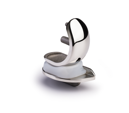 Oxford® Partial Knee